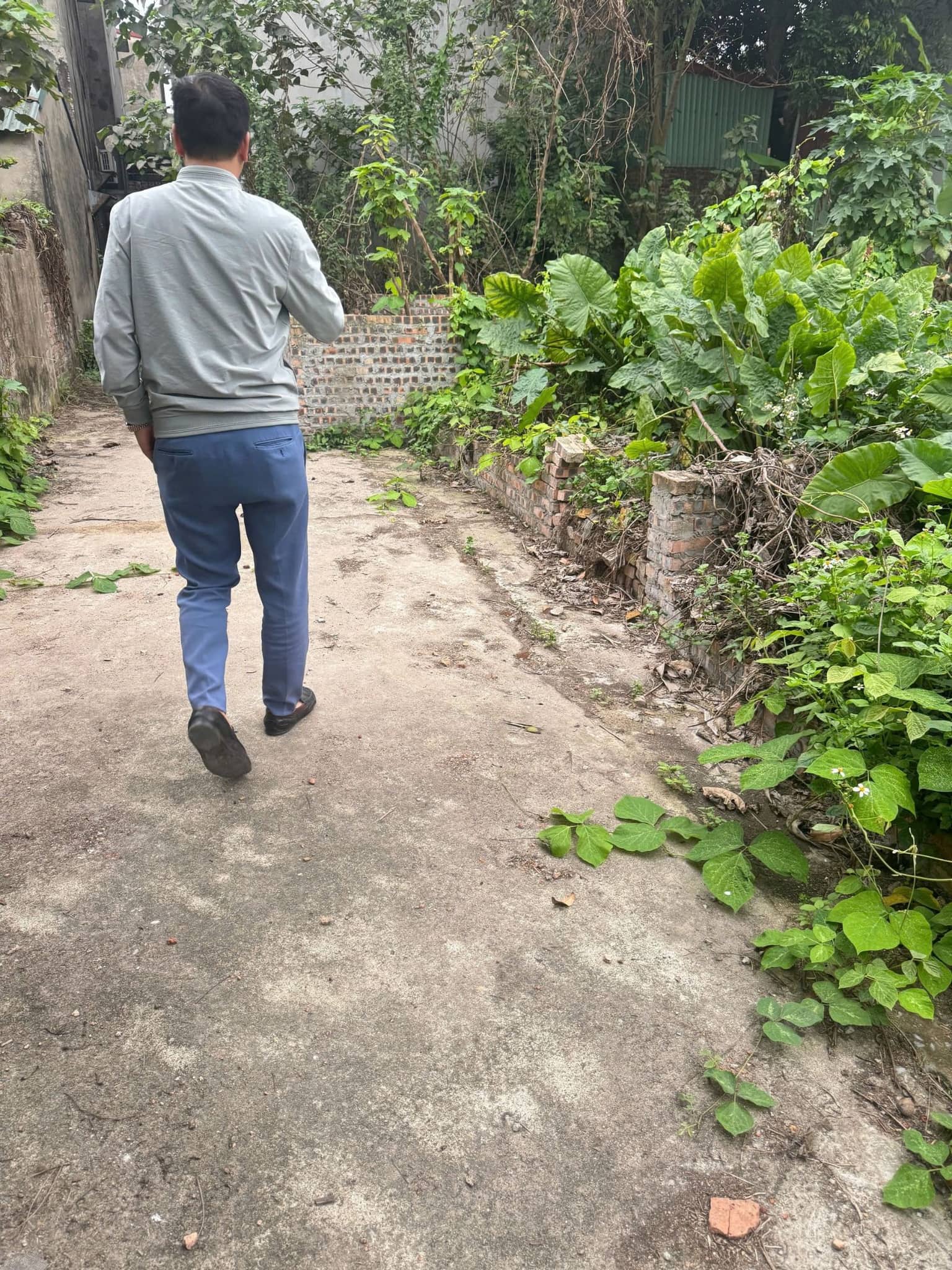 BÁN ĐẤT ĐẸP TRUNG THÔN – ĐÔNG HỘI – ĐÔNG ANH 1