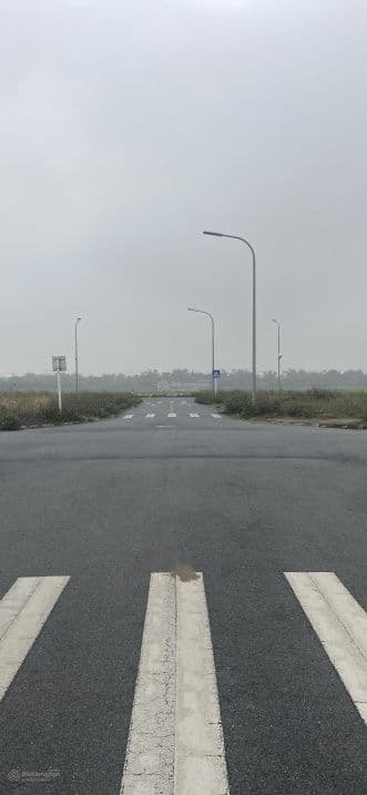Bán lô đất X1 Đông Hộ 80m2 Mt 5m trục đường 40m nối Vin Cổ Loa - Cầu Tứ Liên giá rẻ thương lượng - ảnh 1