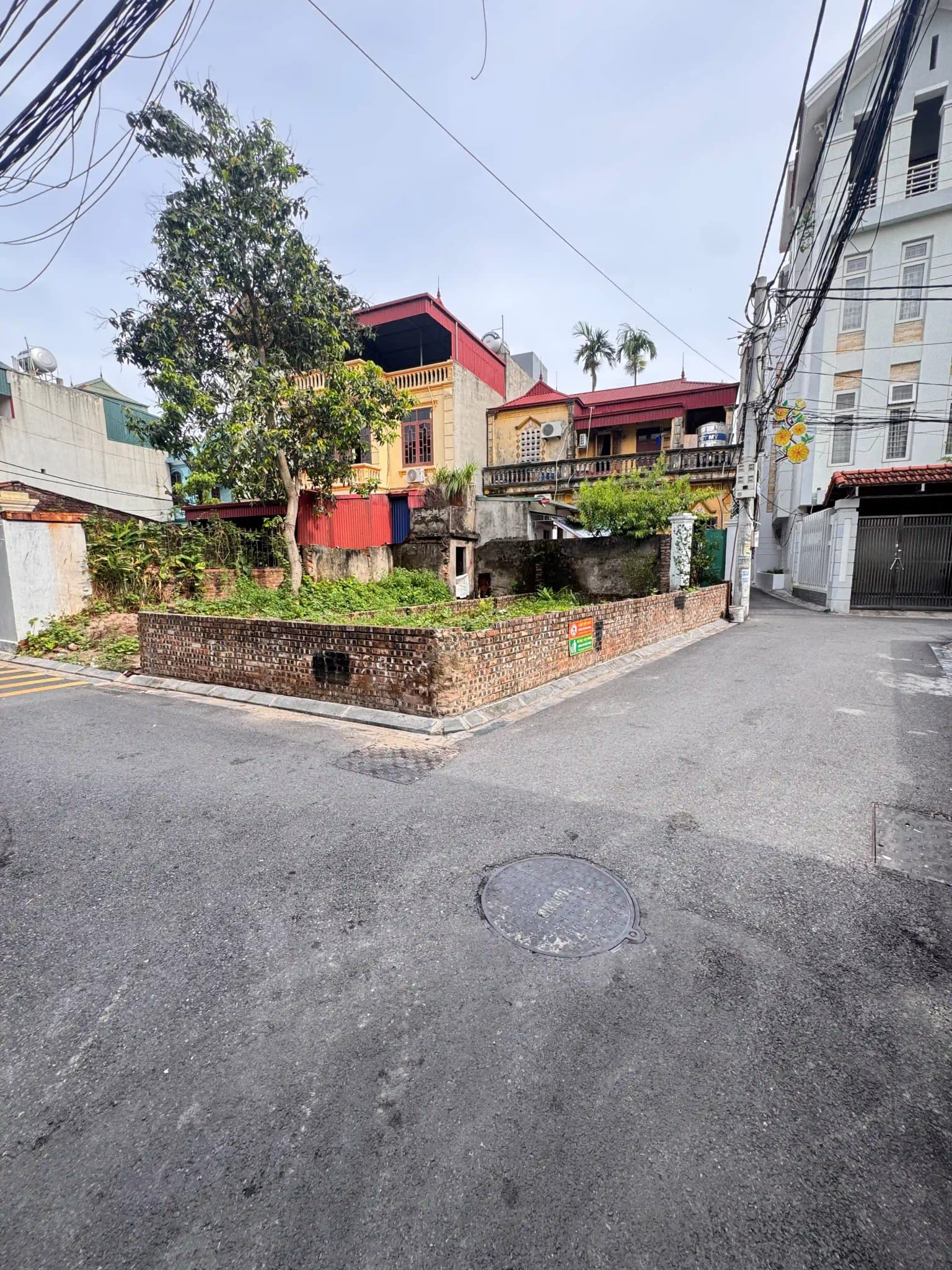Bán Đất Lô Góc Lê Xá Mai Lâm Đông Anh 52.3m2 Trục Kinh Doanh - ảnh 1